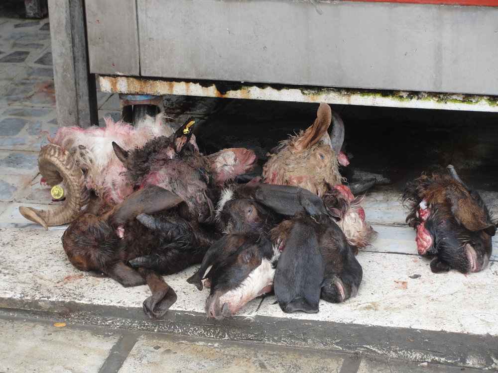 Inkopen doen voor het avondeten